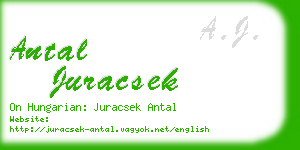 antal juracsek business card